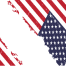 america flag thumb