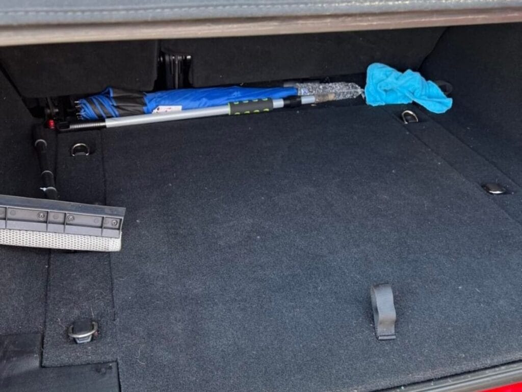 what does auto detailing mean